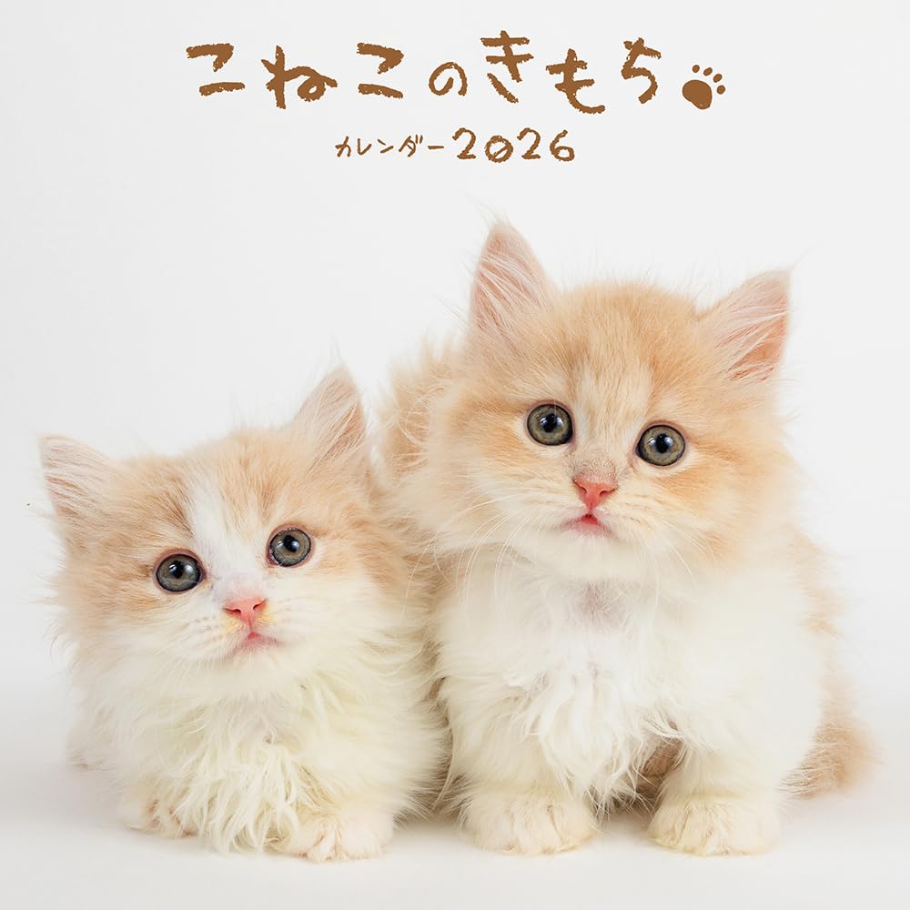Amazon.co.jp: こねこのきもちカレンダー2026 ([カレンダー